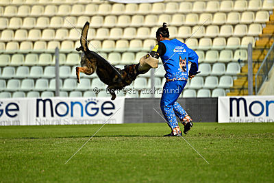 Egoist vom wilden Hexenkessel