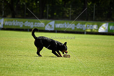 Egon vom schwarzen Grat