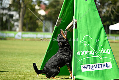 Egon vom schwarzen Grat