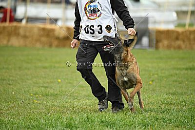 Einstein Force Canina