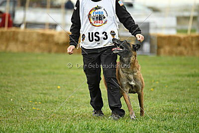 Einstein Force Canina