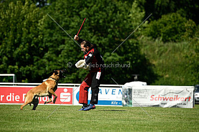El Loco de Marina de los Molinos