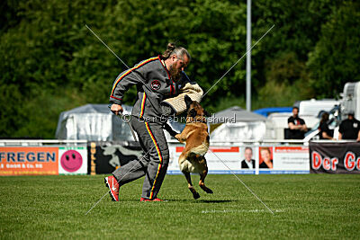 El Loco de Marina de los Molinos