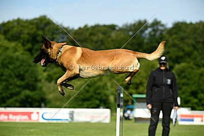 El Loco de Marina de los Molinos
