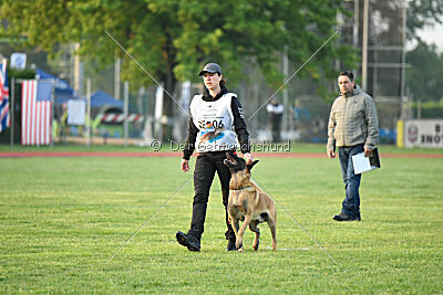 El Loco de Marina de los Molinos