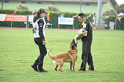El Loco de Marina de los Molinos