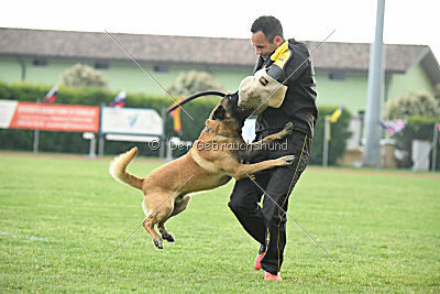 El Loco de Marina de los Molinos