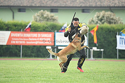 El Loco de Marina de los Molinos