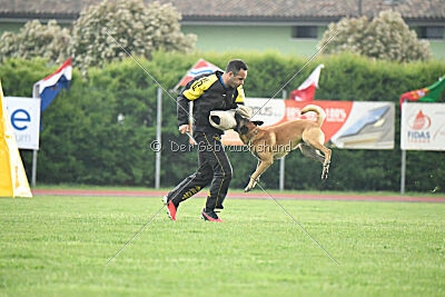 El Loco de Marina de los Molinos