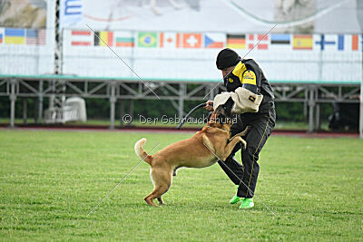 El Loco de Marina de los Molinos