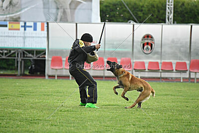 El Loco de Marina de los Molinos