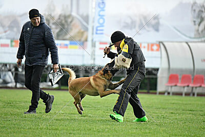 El Loco de Marina de los Molinos