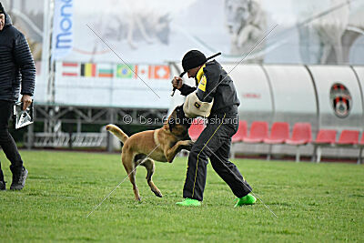 El Loco de Marina de los Molinos