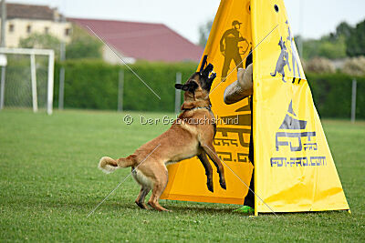 El Loco de Marina de los Molinos