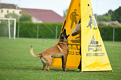El Loco de Marina de los Molinos