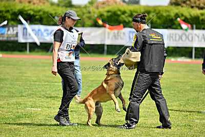 El Loco de Marina de los Molinos