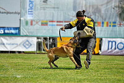 El Loco de Marina de los Molinos