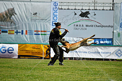 El Loco de Marina de los Molinos