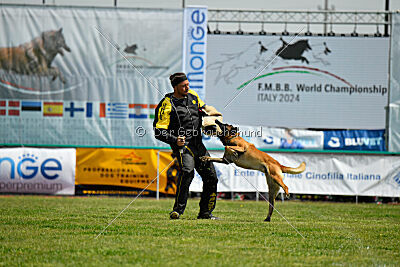 El Loco de Marina de los Molinos