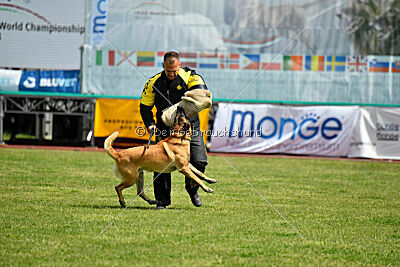 El Loco de Marina de los Molinos