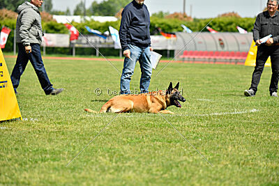 El Loco de Marina de los Molinos