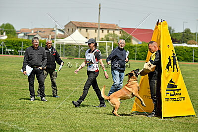 El Loco de Marina de los Molinos