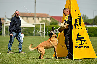 El Loco de Marina de los Molinos