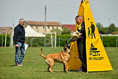 El Loco de Marina de los Molinos