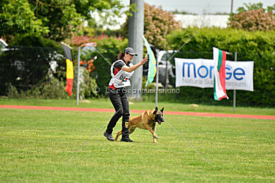 El Loco de Marina de los Molinos