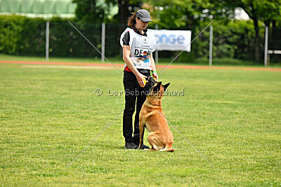 El Loco de Marina de los Molinos