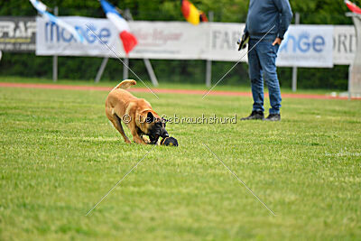 El Loco de Marina de los Molinos