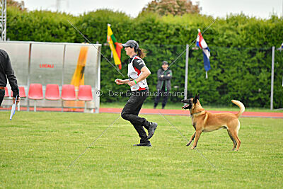 El Loco de Marina de los Molinos