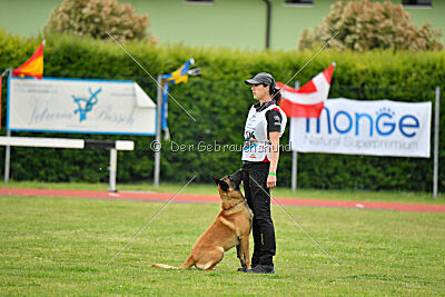 El Loco de Marina de los Molinos