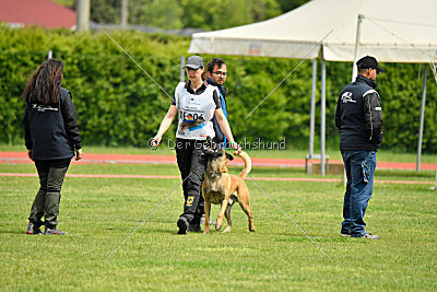 El Loco de Marina de los Molinos