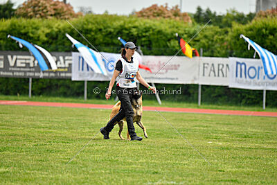 El Loco de Marina de los Molinos