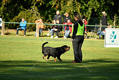 Elektra von der Ostseehexe