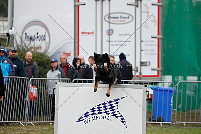 Elise vom tapferen Krieger