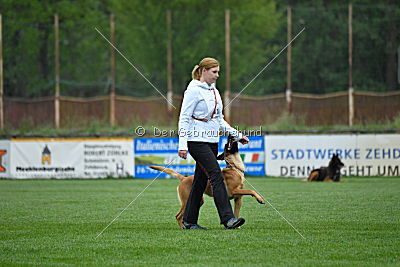 Elli-Pyrelli vom Streitwald
