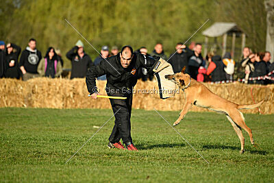 Elly vom Clan der Wölfe