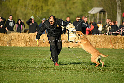 Elly vom Clan der Wölfe