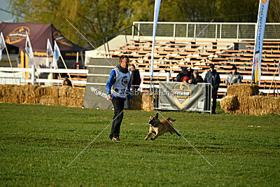 Elly vom Clan der Wölfe