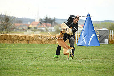 Elly vom Clan der Wölfe