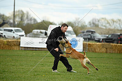 Elly vom Clan der Wölfe