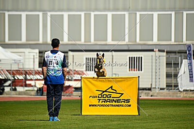 Elly vom Clan der Wölfe