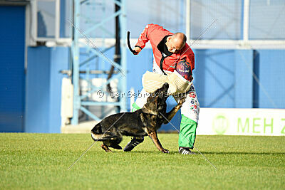 Elsa vom Haidbrunnen