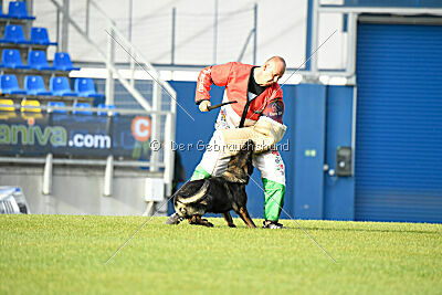 Elsa vom Haidbrunnen