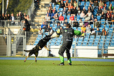 Elvis von der Reichsbahn