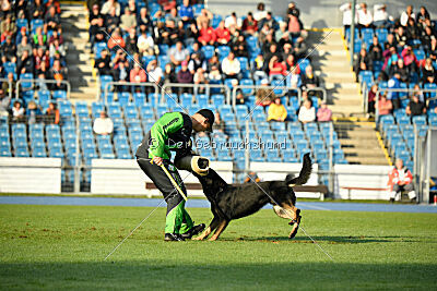 Elvis von der Reichsbahn