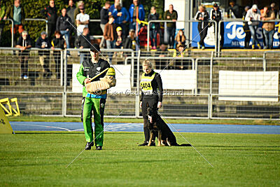 Elvis von der Reichsbahn