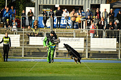 Elvis von der Reichsbahn
